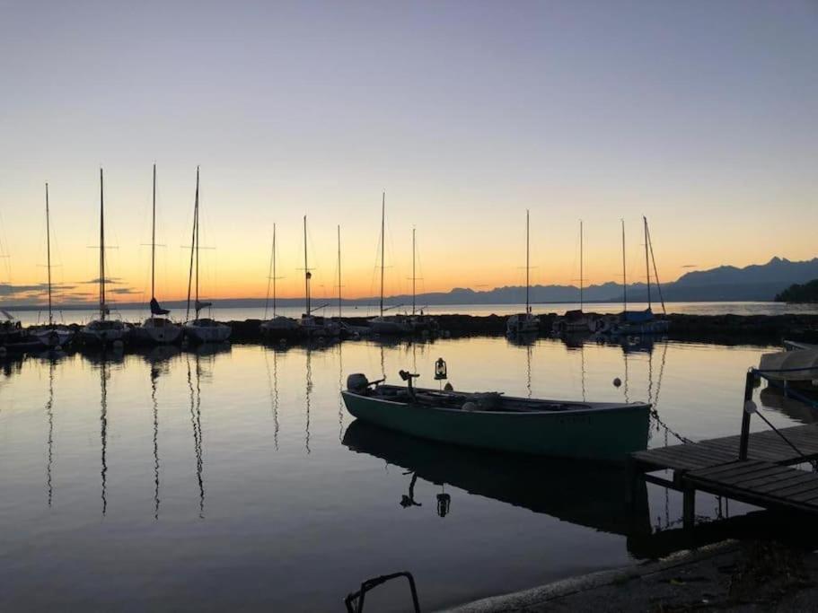 Villa Moderne, A 2 Pas Du Lac Leman Sciez Extérieur photo